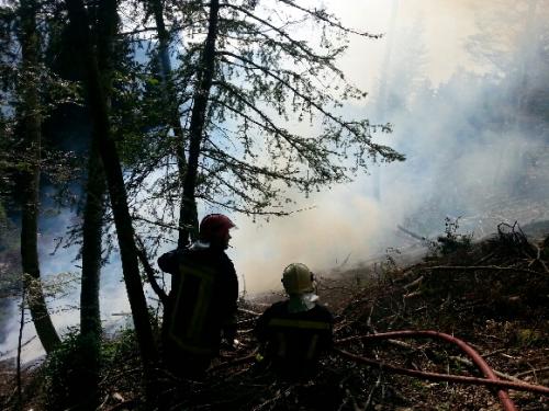 Feu forêt Piemont